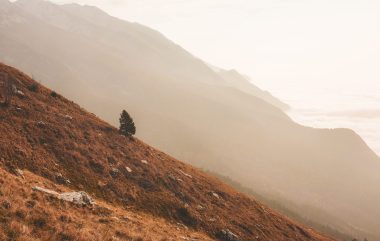 Brown Mountain