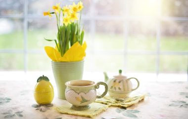 Daffodils 1316127 1280