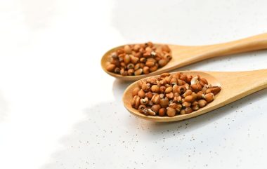 food-6135589_1280