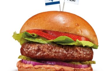 ביונד מיט