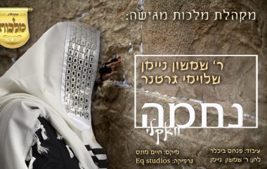 תמונת סינגל - נחמה - ווקאלי
