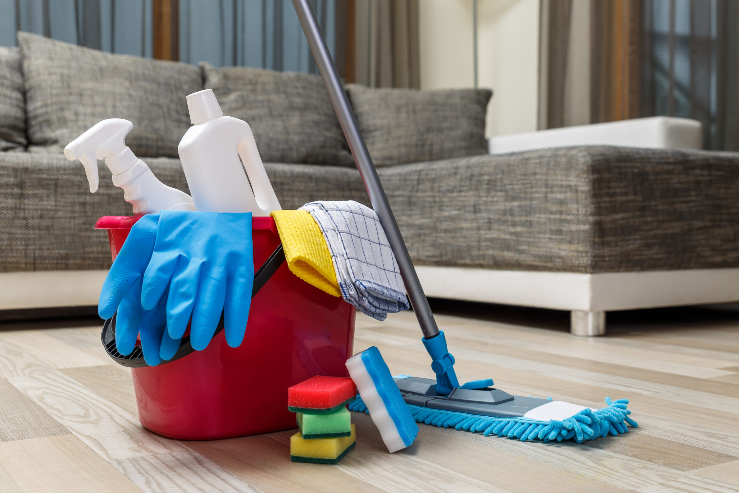Cleaning,service.,bucket,with,sponges,,chemicals,bottles,and,mopping,stick.